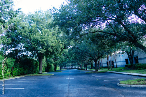 Landscape of Historical Town of Temple Terrace Florida 