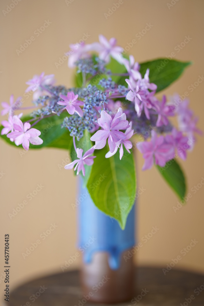 Fototapeta premium 部屋に飾られた切り花のアジサイ ダンスパーティー