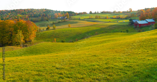 autumn landscape of farmland with forest