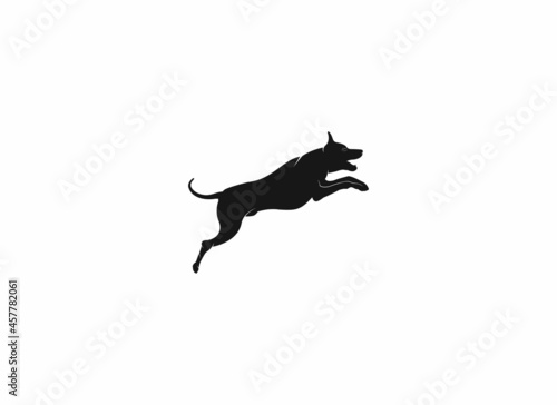 jumping dog illustration on white background
