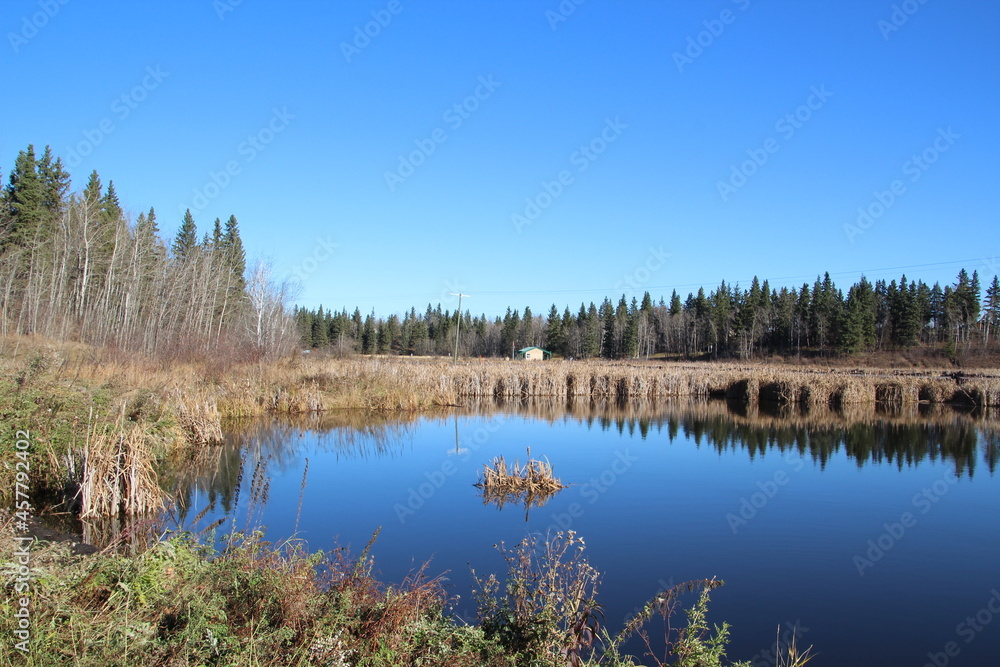 Calm Blue On The Pond, Elk Island National Park, Alberta