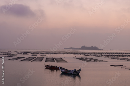 At the seaweed farm before sunrise in the morning, there are seaweed rows and boats