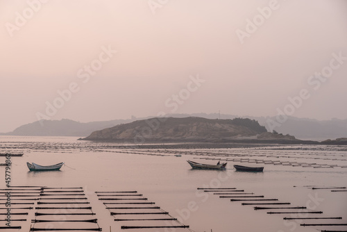 At the seaweed farm before sunrise in the morning  there are seaweed rows and boats