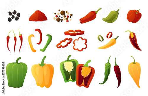 Bell pepper. Cartoon organic vegetables. Green jalapeno and orange sweet paprika. Farm crops. Red pimento and hot chilli. Isolated seasonings collection. Vector culinary ingredients set