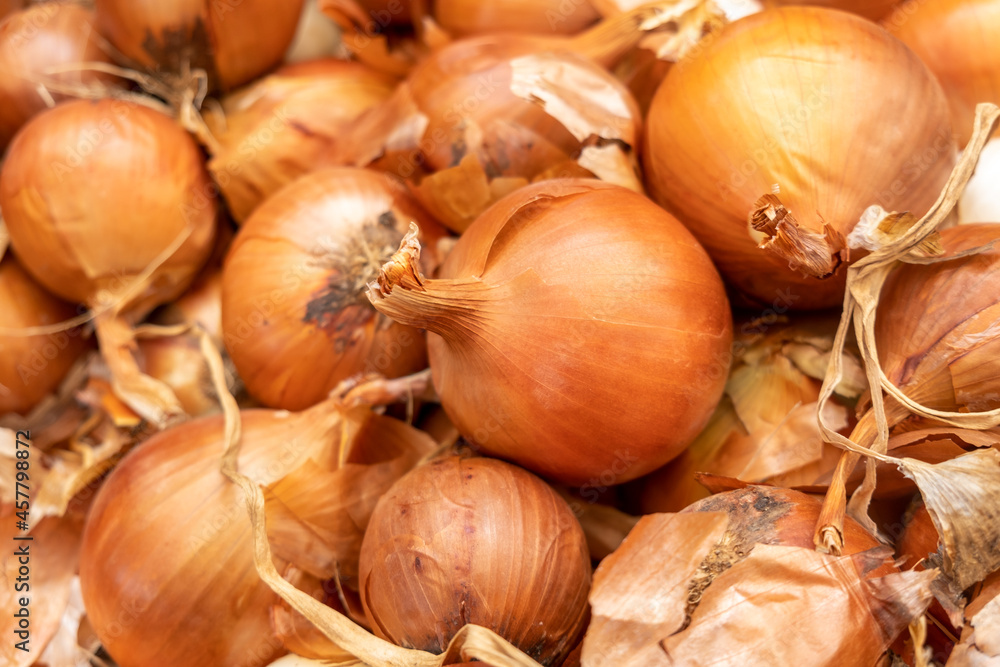 The new harvest onions sold at local farm market The new harvest onions sold at local farm market
