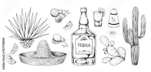 Tequila sketch. Hand drawn Mexican alcohol beverage made of agave with salt and lemon. Engraving alcoholic drink and cactuses. Sombrero and castanets. Vector drawings set for bar menu photo
