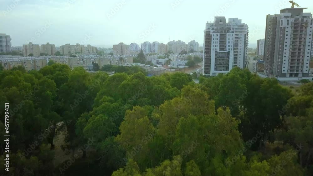 Aerial shot over trees in residental district Aerial shot over trees in residental district