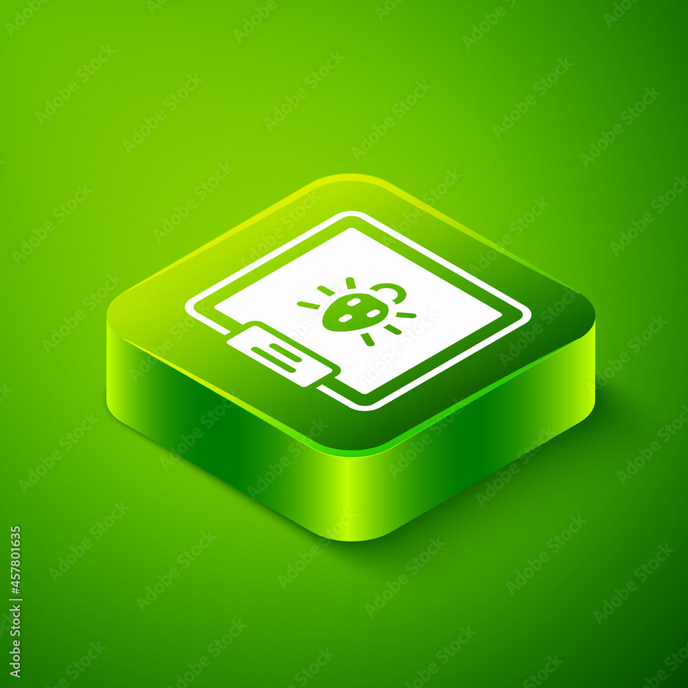 Isometric Colorado beetle icon isolated on green background. Green square button. Vector Isometric Colorado beetle icon isolated on green background. Green square button. Vector
