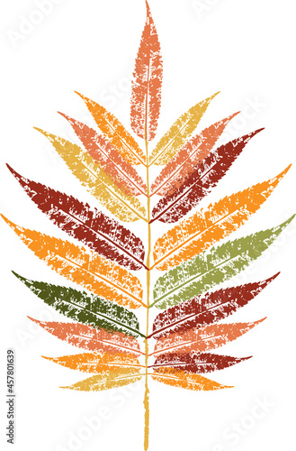 Colored ink print of a fallen autumn leaf. Watercolor leaf.