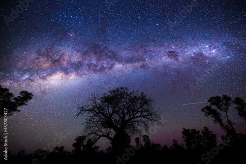 Boab Tree and Milky way in Kimberly, Western Australia