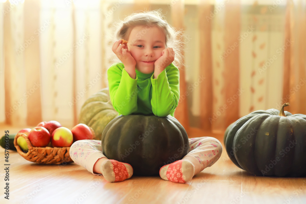 Fototapeta premium Little child choose a pumpkin at autumn. Child sitting on giant pumpkin. Pumpkin is traditional vegetable used on American holidays - Halloween and Thanksgiving Day.