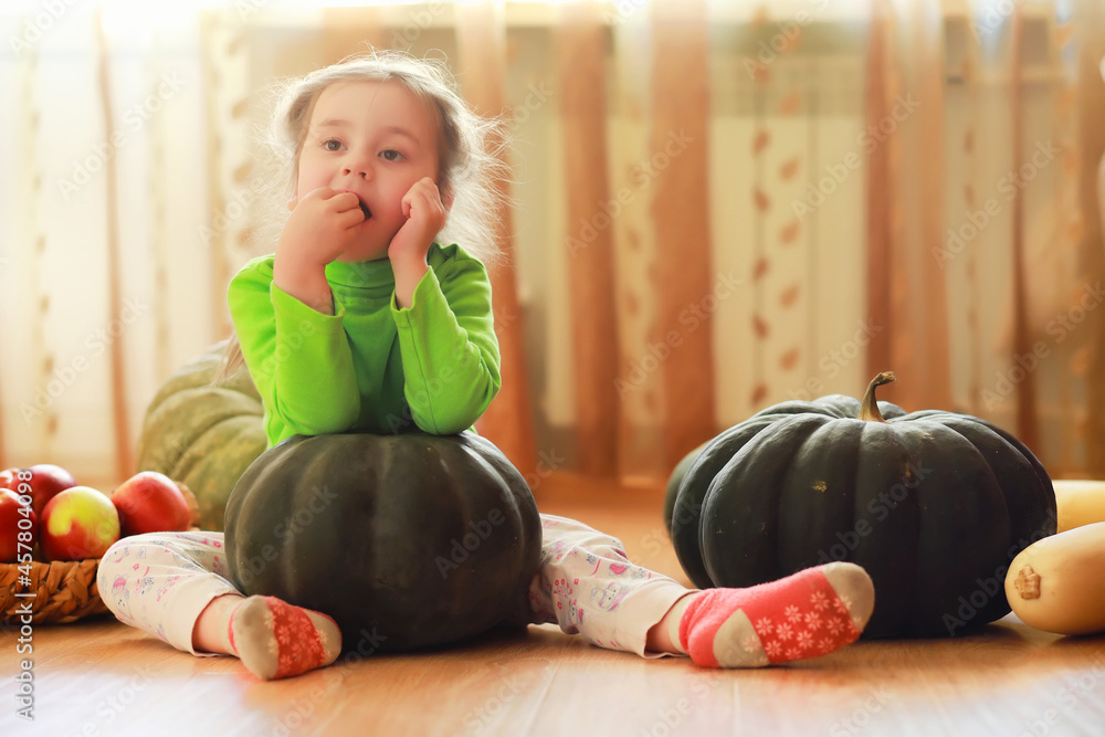 Fototapeta premium Little child choose a pumpkin at autumn. Child sitting on giant pumpkin. Pumpkin is traditional vegetable used on American holidays - Halloween and Thanksgiving Day.