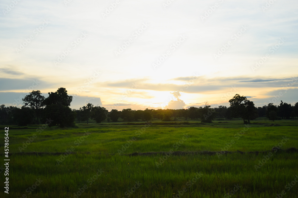 Bright orange sky and light of the sun. Bright orange sky and light of the sun.