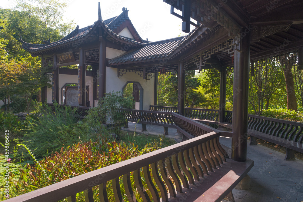 Hubei Wuhan Garden Expo Park summer scenery, China Hubei Wuhan Garden Expo Park summer scenery, China