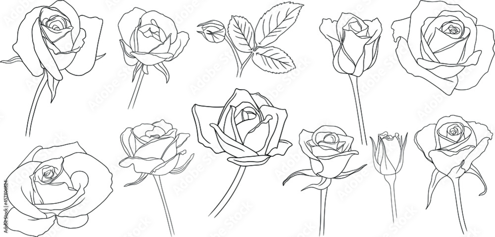 Rose flower outline vector. Hand drawn vector set Rose flower outline vector. Hand drawn vector set