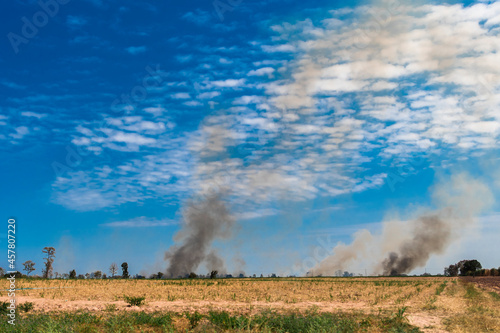 Black smoke from a fire that occurs in the sugar cane fields
