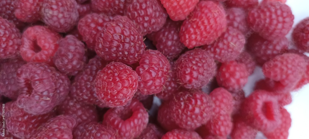 Garden large raspberries of a dark saturated color close up Garden large raspberries of a dark saturated color close up