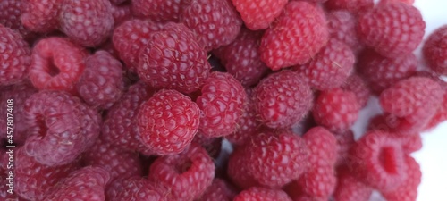 Garden large raspberries of a dark saturated color close up