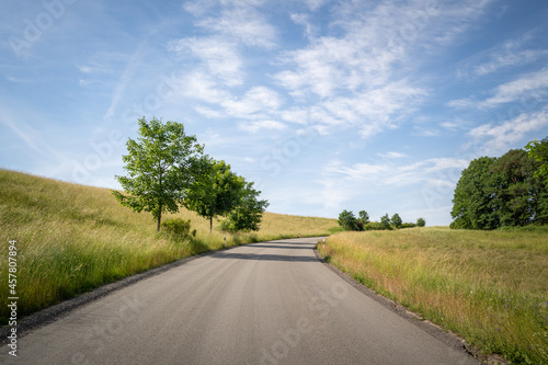 Nice asphalt road in summer between grass fields with trees and blue sky