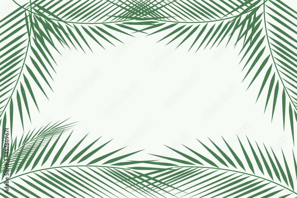 Forest background, nature, landscape. Evergreen coniferous trees. spruce, christmas tree. Silhouette vector
