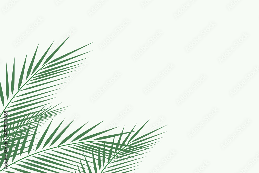 Fototapeta premium Forest background, nature, landscape. Evergreen coniferous trees. spruce, christmas tree. Silhouette vector 