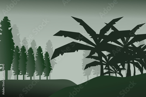 Forest background, nature, landscape. Evergreen coniferous trees. spruce, christmas tree. Silhouette vector

