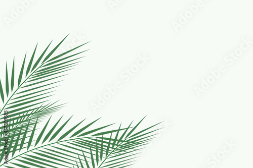 Forest background  nature  landscape. Evergreen coniferous trees. spruce  christmas tree. Silhouette vector 