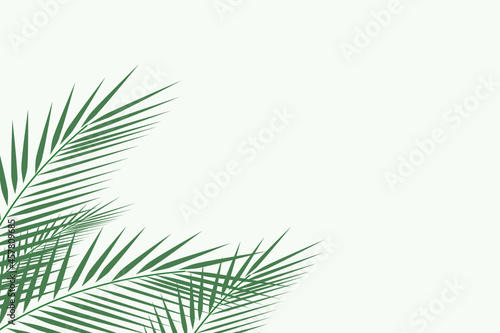 Forest background, nature, landscape. Evergreen coniferous trees. spruce, christmas tree. Silhouette vector
