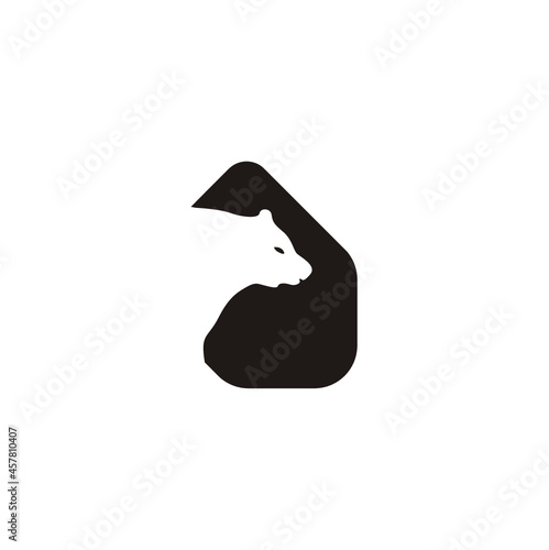 bear logo icon design vector