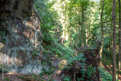 Lauchagrund bei Bad Tabarz im Thüringer Wald photo