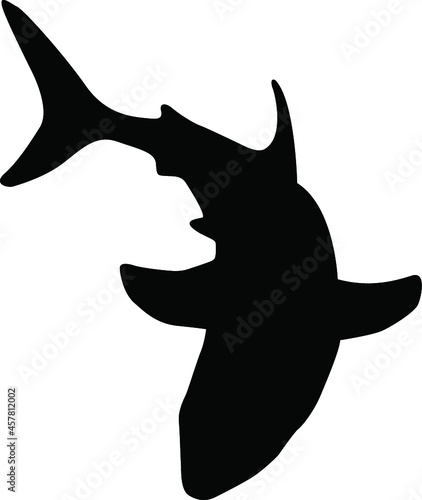 Shark Silhouette