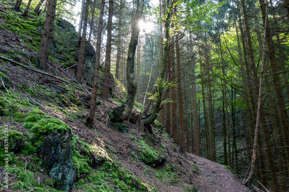 Lauchagrund bei Bad Tabarz im Thüringer Wald Lauchagrund bei Bad Tabarz im Thüringer Wald