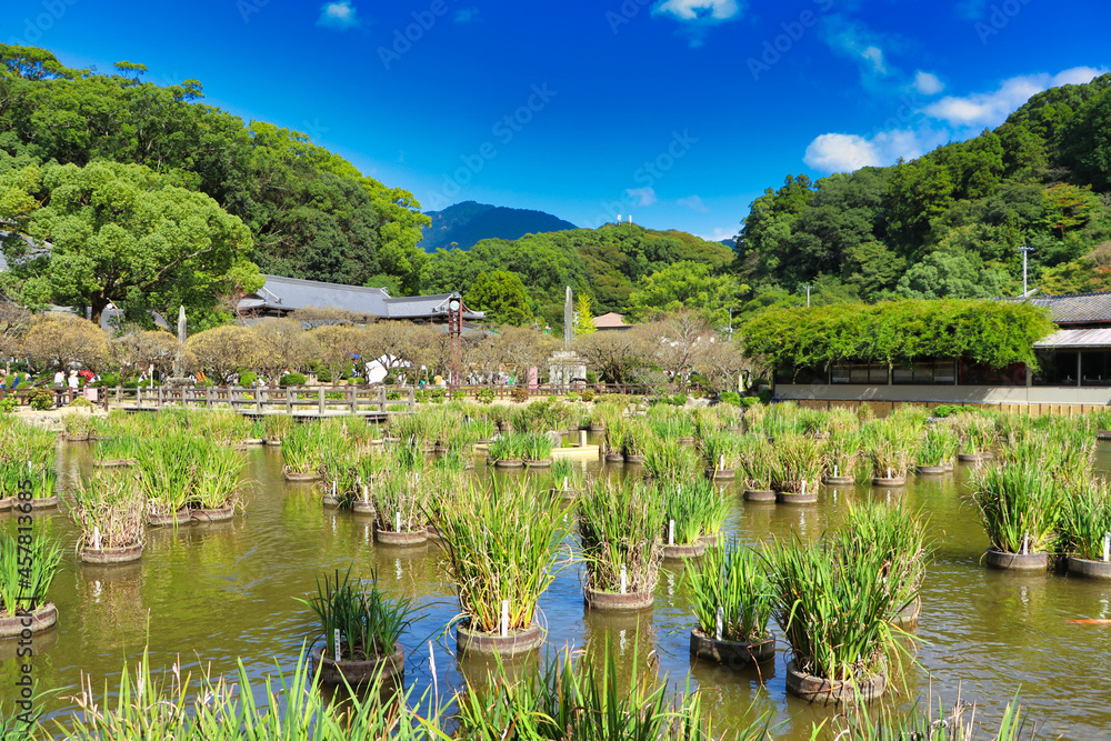 Nippon Usa Jingu Pond
