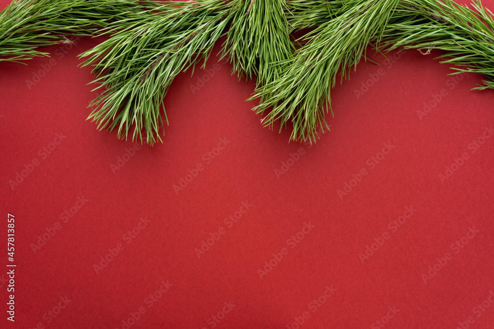 Christmas composition. Fir tree branches on red background. Flat lay, top view, copy space