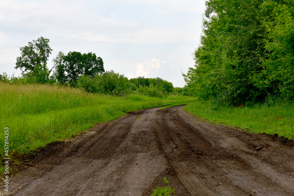 The Dirt road in summer in Russia