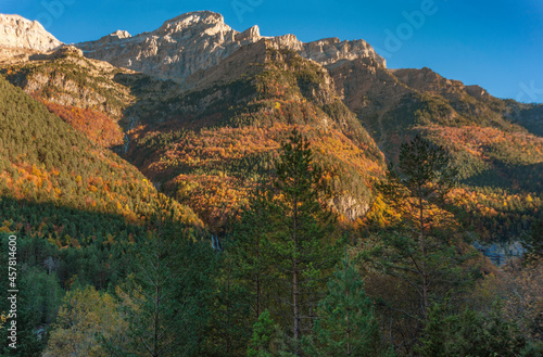mountain forest autumn