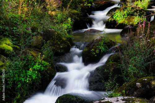 waterfall in black and white