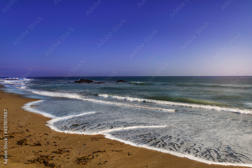 in the sea in the sea