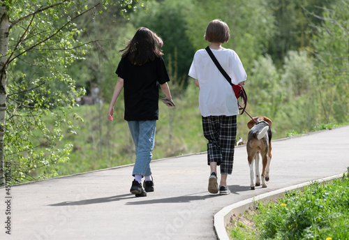 Two teenagers walk the dog on a leash in the park