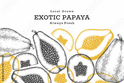 Hand drawn sketch style papaya banner. Organic fresh fruit vector illustration. Retro fruit design template