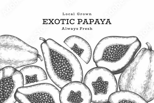 Hand drawn sketch style papaya banner. Organic fresh fruit vector illustration. Retro fruit design template