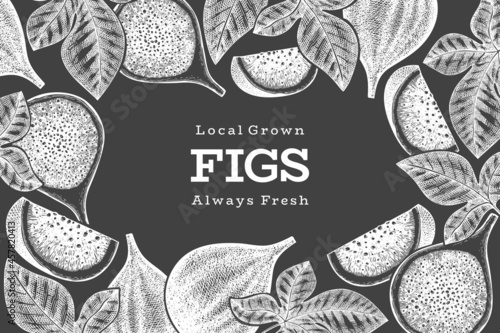Hand drawn fig fruits design template. Organic fresh food vector illustration on chalk board. Retro fig fruit banner.