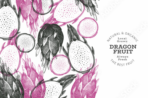 Hand drawn dragon fruit design template. Organic fresh food vector illustration. Retro pitaya fruit banner.