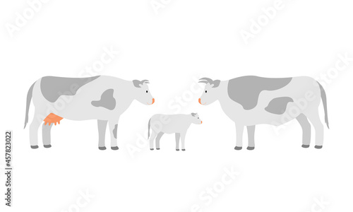 Farm animals cow family  dad mom and calf