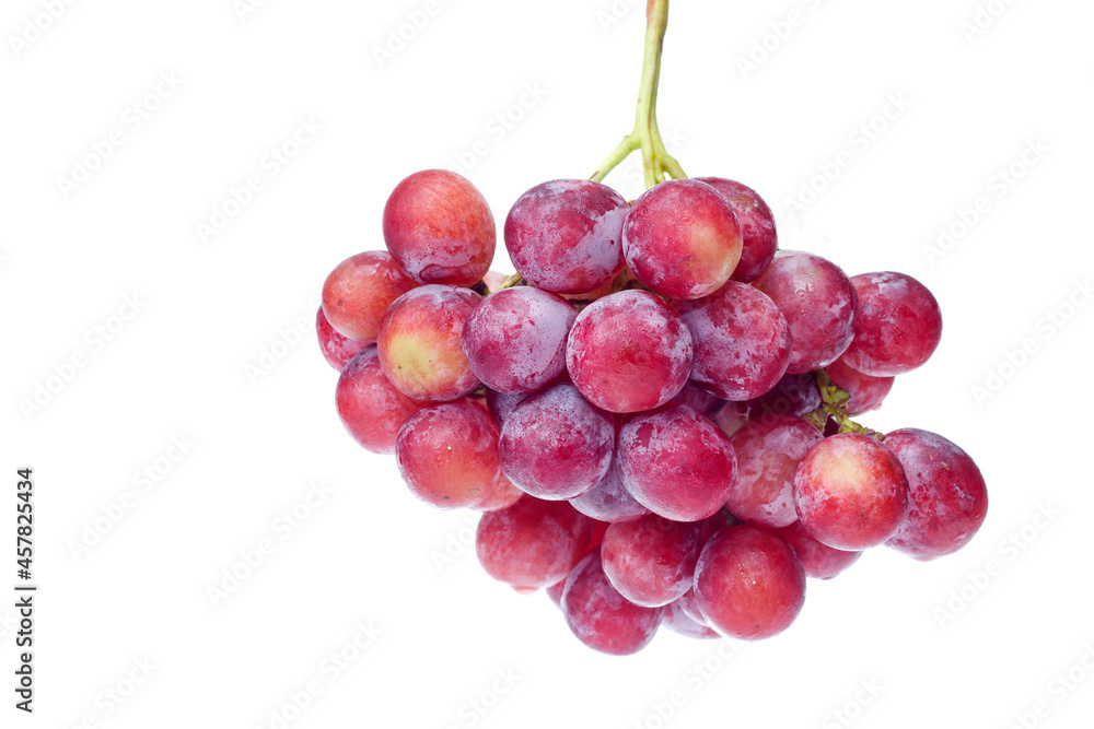 Fototapeta premium Food