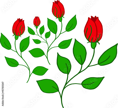 Vector branches of a red rose with buds. Red roses with green leaves.