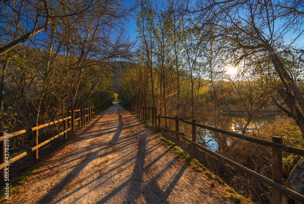 bridge in autumn