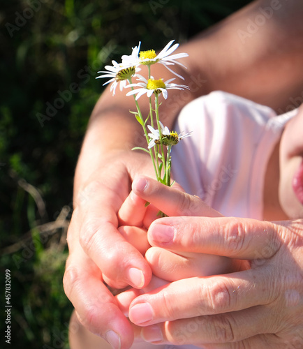 Grandmother and granddaughter hands holding bouquet of wildflowers, close up, love concept