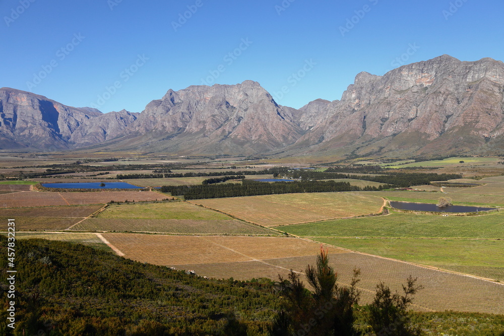 A panoramic view over the Slanghoek Valley