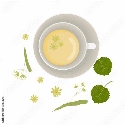Linden herbal tea set with decor. Flat illustration.